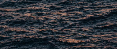 Fresh Clean Seas