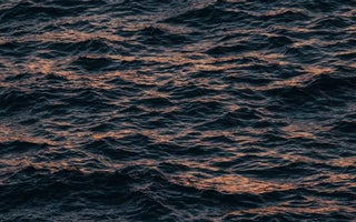 Fresh Clean Seas