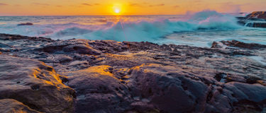 All The Amazing Work Surfrider Foundation Has Done This Year (So Far)