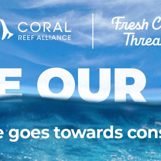 Celebrate World Ocean Day | Blue Tees Collection | Fresh Clean Threads